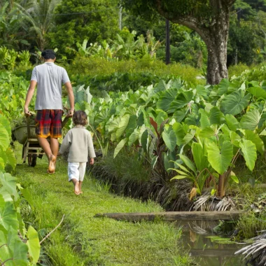 Práticas tradicionais do Tahiti e turismo sustentável