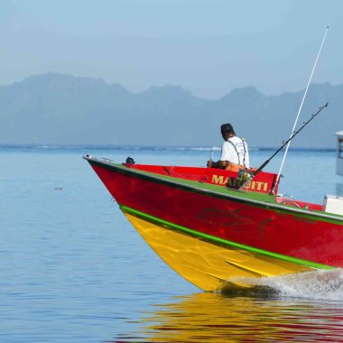 Pesca desportiva