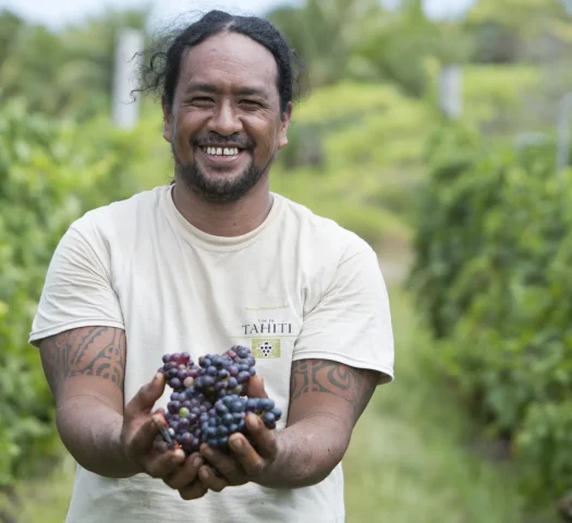 Le vin de Rangiroa est produit à partir de vignes cultivées directement sur l'île © Grégoire Le Bacon