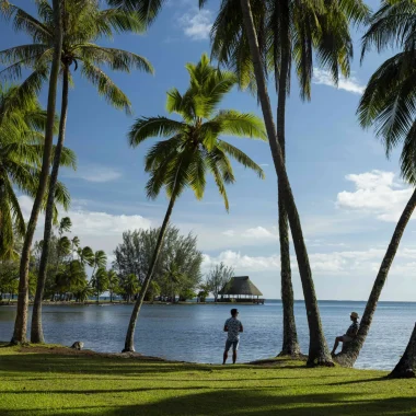 Passeio pela ilha do Tahiti -Holofotes para ver