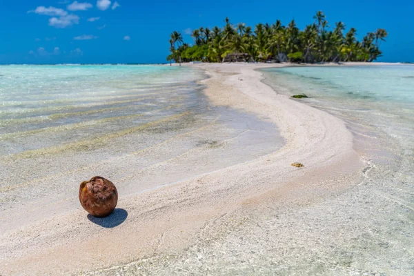 O que fazer em Rangiroa?
