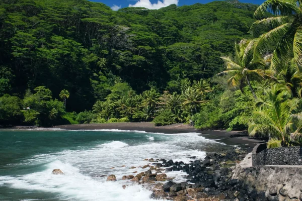 Passeio pela ilha do Tahiti -Holofotes para ver