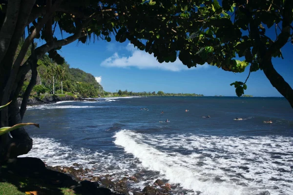 Passeio pela ilha do Tahiti -Holofotes para ver