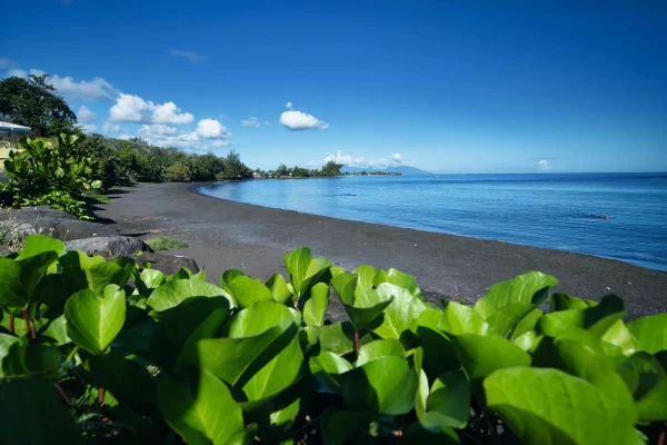 Passeio pela ilha do Tahiti -Holofotes para ver