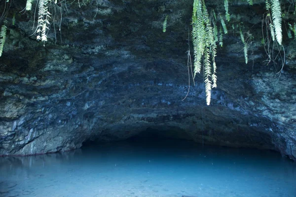 Passeio pela ilha do Tahiti -Holofotes para ver