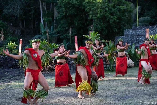 Passeio pela ilha do Tahiti -Holofotes para ver