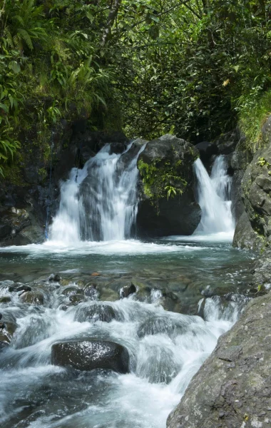 O patrimônio natural do Tahiti
