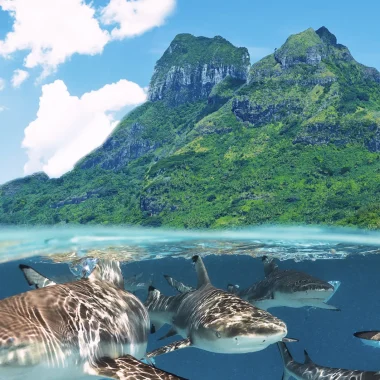 Mergulho em Bora Bora