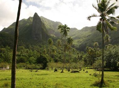Três dias em Raiatea